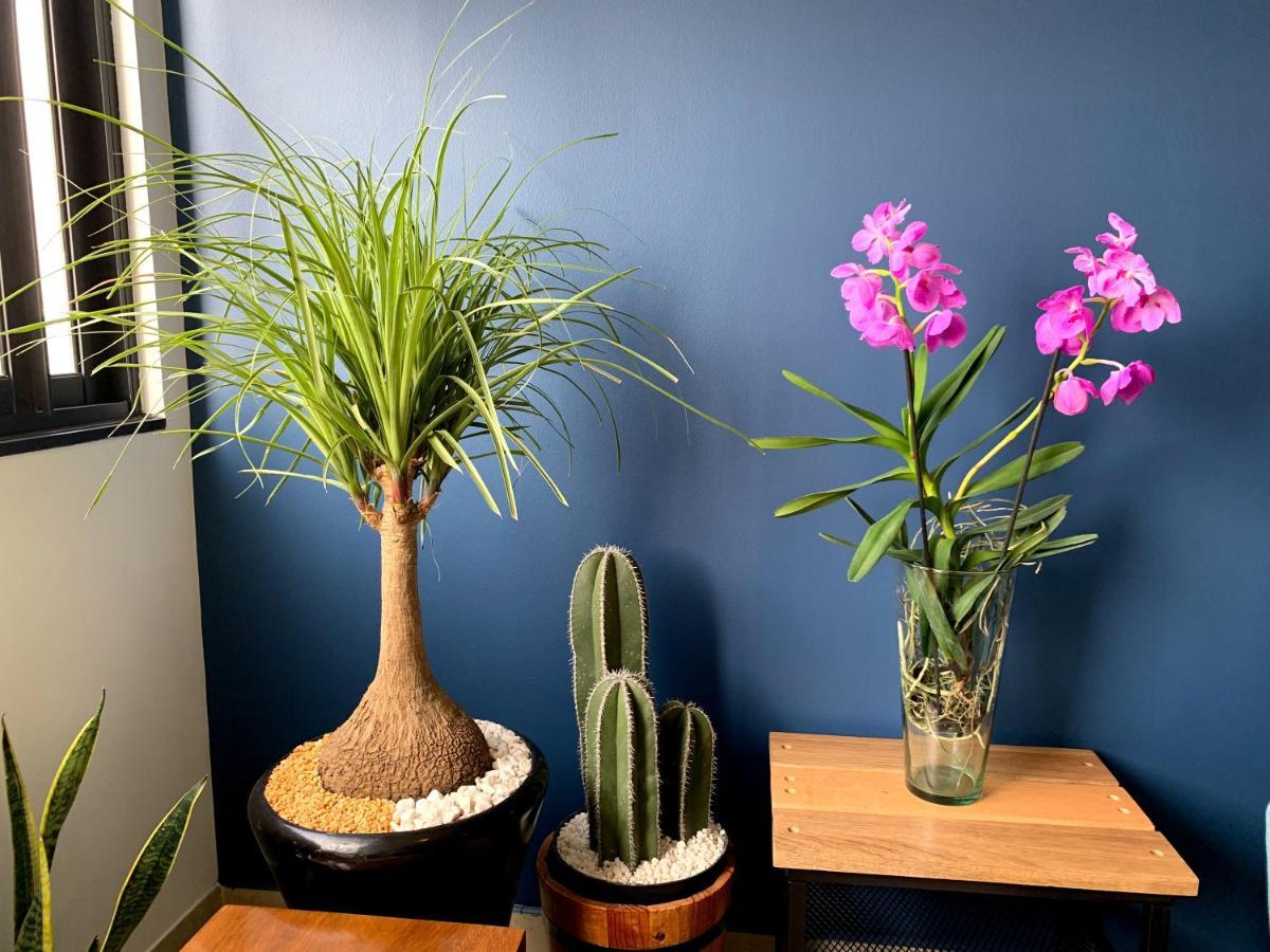 Blue Horse Apartment In New Polanco. Μεξικό Εξωτερικό φωτογραφία